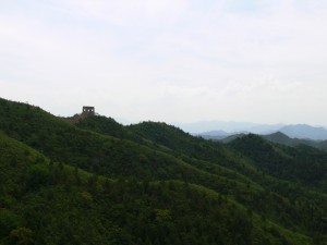 Mauerblick III
